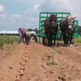 Sand Creek Farm Raw Milk Dairy - Other in Cameron