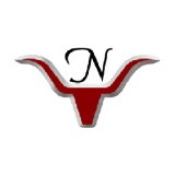 J L Nixon Consulting Inc - Other in Celeste