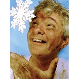 Snow-Fakes.com - Other in Pharr