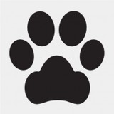 Paws Up Performance Site, Inc - Other in Forney