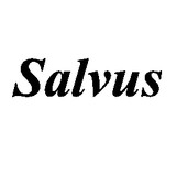 Salvus Data Consultants LLC - Business Consulting in Campbell