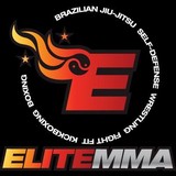 Elite Mixed Martial Arts L L C - Greenway Plaza - Martial Arts in Katy