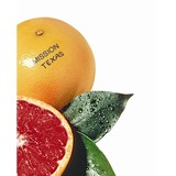 The Greater Mission Chamber of Commerce - Other in Mission