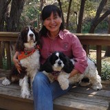 Amanverde Real Estate - Other in Wimberley