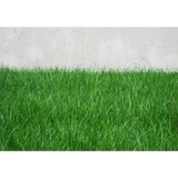 Jmas Texas Lawn Care Corporation - Lawn Services in Katy