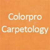 Colorpro of America/Colorpro Carpetology - Carpet Cleaning in Tyler
