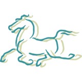 Windhorse Yoga Studio - Yoga in Tyler