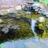 Fnc Ponds Stone And Grass - Landscape Architects in Tyler