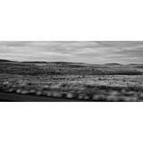 Jess Hall Seasoned Salt CO - Other in Weatherford