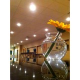 Shannon Oaks Church Of Christ - Other in Sulphur Springs