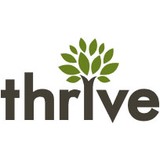 Thrive Internet Marketing - Web Design & Development in Arlington