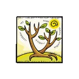 Antonia Guerrawatson Phd - Other in Grapevine