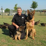 Von Der Otto German Shepherds - Other in Rockwall
