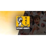 Spicar's Martial Arts - Martial Arts in Southlake