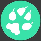 Clever Mutt, LLC - Web Design & Development in Athens