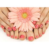 Shandora Spa & Salon - Other in Colleyville