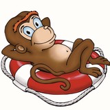 NauticalMonkey.com - Boat & Yacht Dealers in Austin