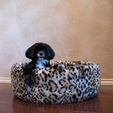 Wallybed Pet Beds - Pet Stores in Austin
