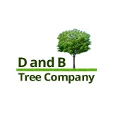D & B Tree CO - Landscaping in Austin
