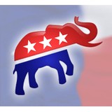 Williams County Republic Cmpgn - Business Consulting in Georgetown