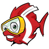 Tom's Dive & Ski Inc - Boat & Yacht Dealers in Austin