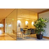 Clean As A Whistle - Carpet Cleaning in Austin