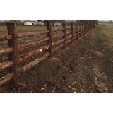 Brush Country Contractors Inc - Other in Floresville