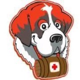 Cannon Roofing Services - Roofing in Decatur