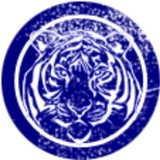 Willspoint Primary Headstart - Other in Wills Point