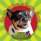 Wilson Plumbing CO - Plumbing in Austin