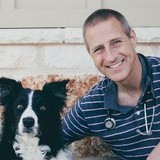 Avery Ranch Animal Hospital - Veterinarians/Vets in Cedar Park