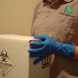 The Guys Cryo - Other in Cookville