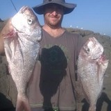 Erlksen Marine - Boat & Yacht Dealers in Austin