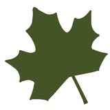 Native Land Design - Landscaping in Cedar Park