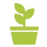 Farmer's Daughter Landscaping - Landscape Architects in San Angelo