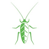 Ecoshield Pest Control - Pest Control in Round Rock