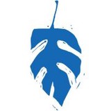 Austin Area Speech & Language - Speech Therapy in Austin
