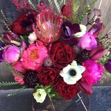 Mercedes Flower - Florists in Austin