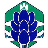 Helen Farabee Regl Mhmr Center - Counseling & Mental Health in Vernon