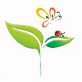 Greener Texas Pest And Lawn Services, LLC - Pest Control in Georgetown