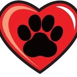 Hearts And Paws - Pet/Animal Training in Austin