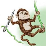 Crafty Monkey - Souvenir Shops in Austin