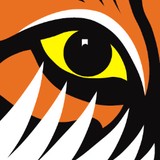 Tiger Turf - Lawn Services in Austin