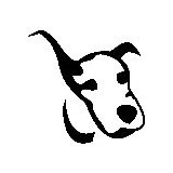 Divine Canines - Social Services in Austin