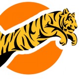 Flying Tigers Martial Arts Center - Martial Arts in Austin