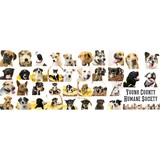 Humane Society-Young County - Other in Graham