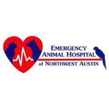 Tawney Elizabeth DVM - Veterinarians/Vets in Austin