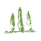 Lakeway Golf Clubs - Social Clubs in Austin