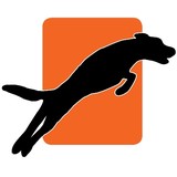 Gusto Dogs - Pet Services in Austin