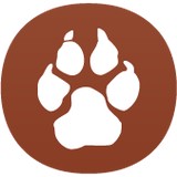South Park Animal Hospital - Veterinarians/Vets in Austin